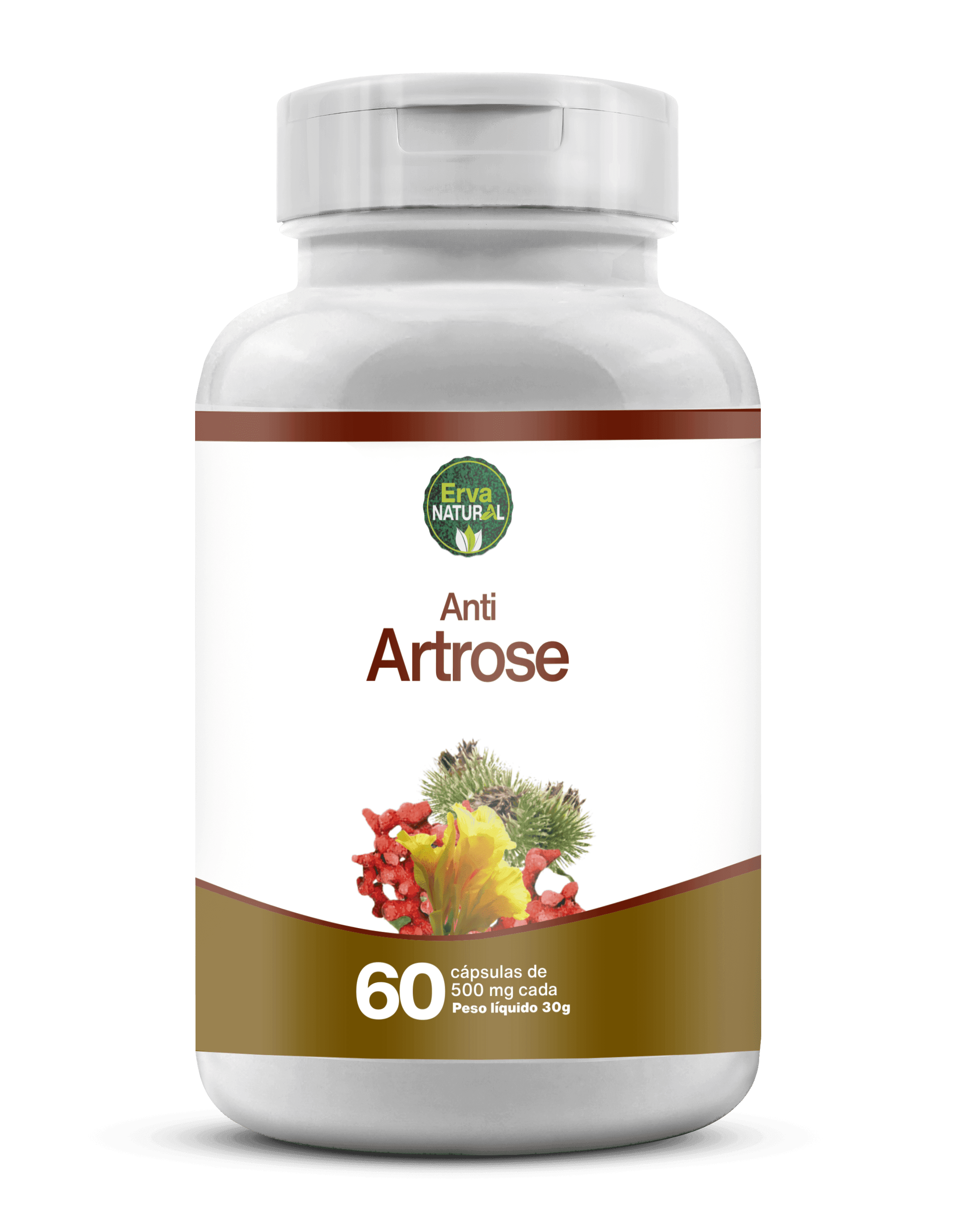 Anti Artrose